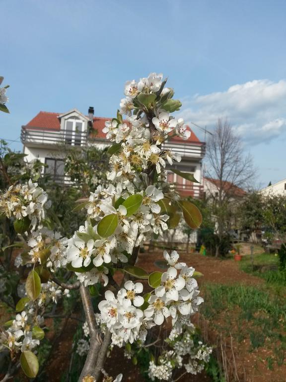 Apartment Ruzica Sukosan Bagian luar foto